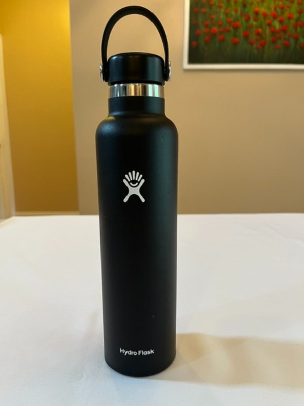 HYDROFLASK | 24 oz Black Water Bottle with Flexible Carrying Loop - EUC